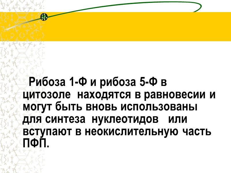 Рибоза 1-Ф и рибоза 5-Ф в цитозоле  находятся в равновесии и могут быть